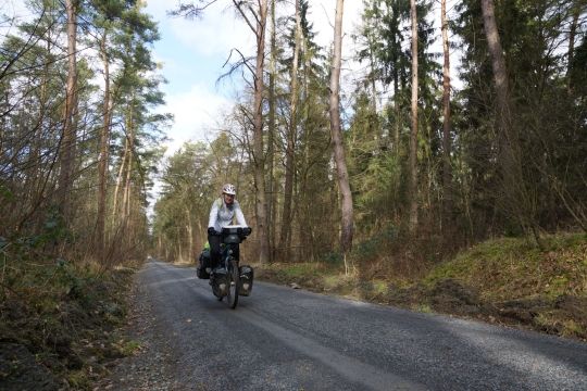 Cycling through forest