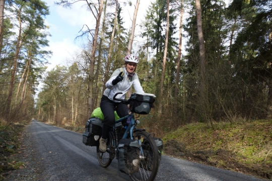 Cycling through forest