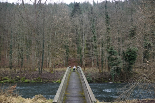 On way to Muhlhausen along Wurmtal