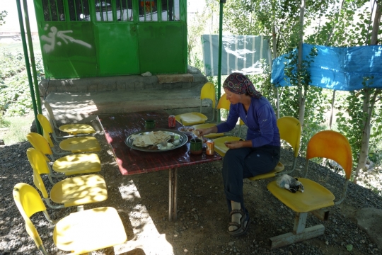 Food at roadside restaurant