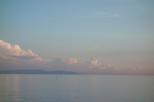 We saw dolphins!