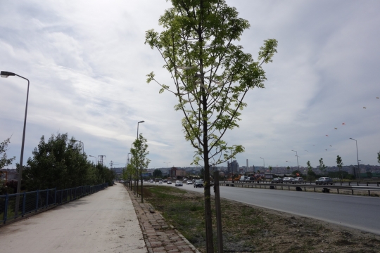 Big roads entering Istanbul