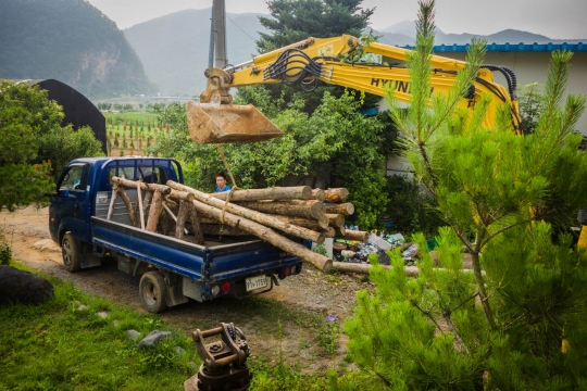 Wood for the houses