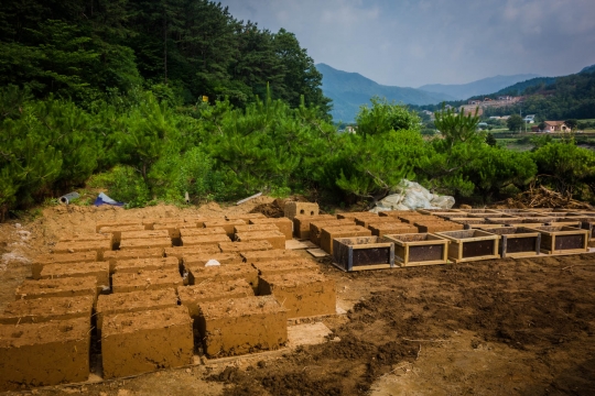 Mud bricks