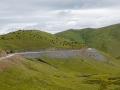 Grasslands and yak