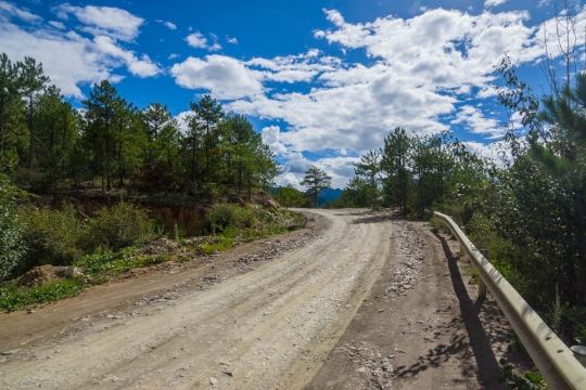 Our road ahead