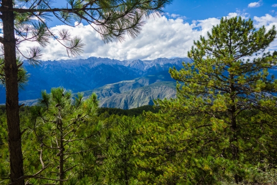 Views of mountains