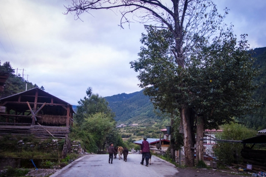 Yunnan village life