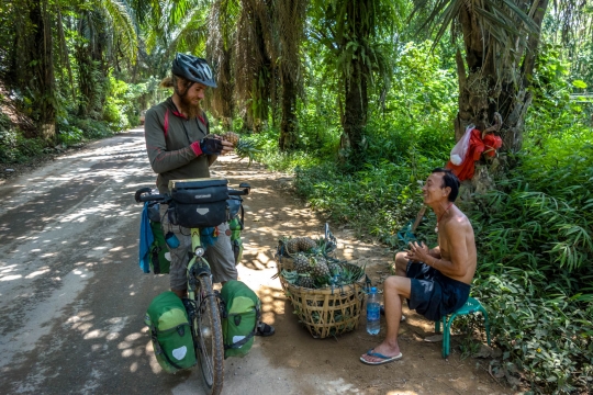 Buying small pineapple