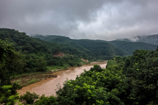 Views of the river