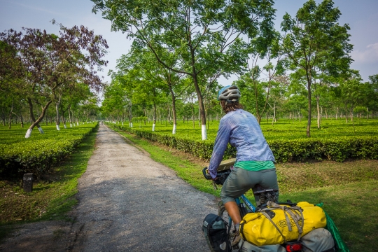 Cycling inbetween tea