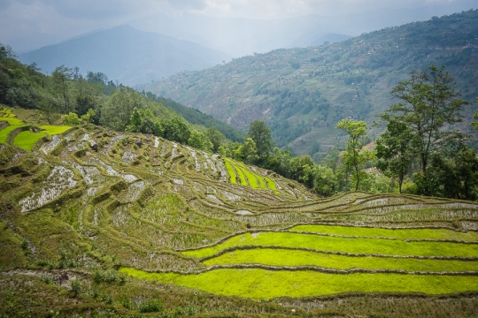 Nice terraces
