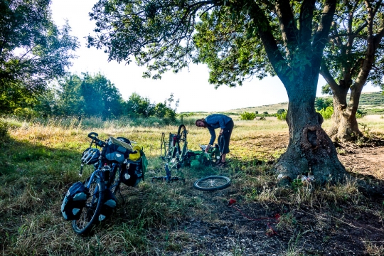 Early morning puncture