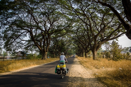 Finally tree lined streets