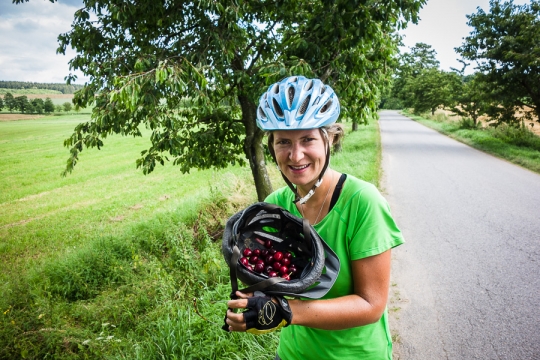 Picking great cherries!