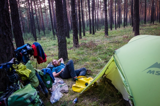 Chilling in the forrest