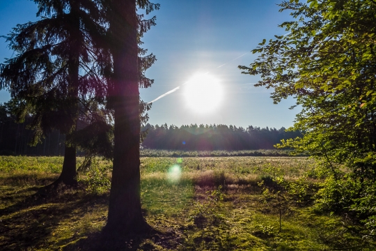 Sunrise