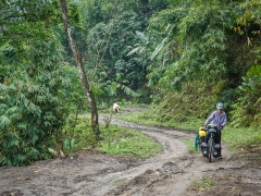 Jungle roads near Kheel
