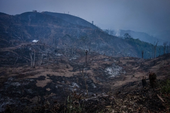 Burning land