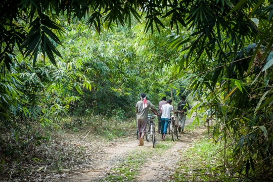 Jungle cyclists