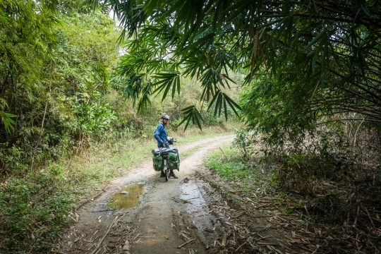 Through the jungle