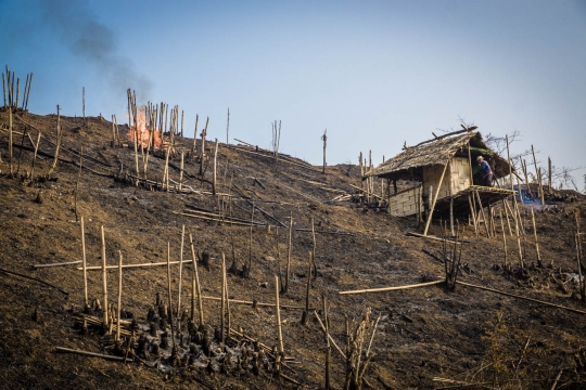 Burning land