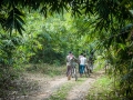 Jungle cyclists