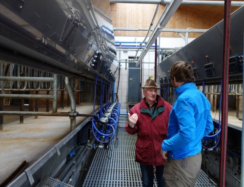 Old modern milk farming in the Swabian Alps