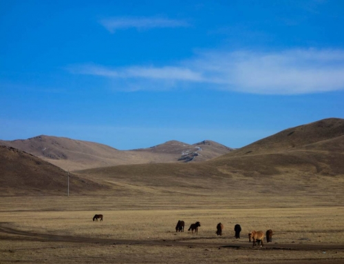 Cycling the Gobi, a desert with surprises