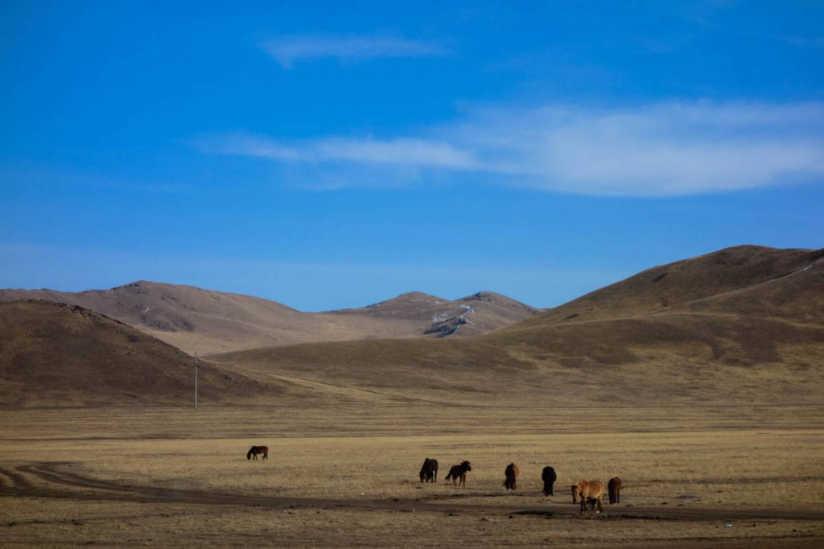 cycling the gobi